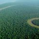 A region of the Amazon forest in Brazil, the world’s largest tropical forest. Image: Wikimedia Commons